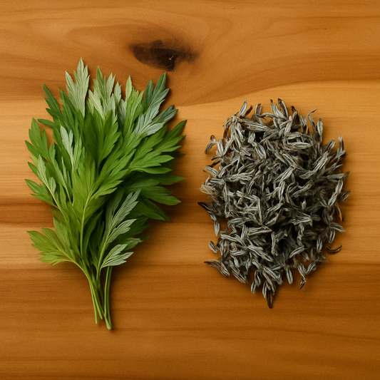 Rustic wooden table with fresh mugwort leaves on one side and dried crumpled leaves on the other.